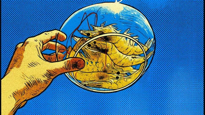 Mão segurando um recipiente transparente contendo camarões vivos, contra um céu azul claro.