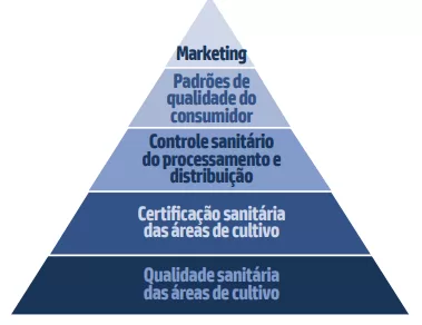 Diagrama em forma de pirâmide com cinco níveis mostrando a hierarquia na cadeia produtiva: base “Qualidade sanitária das áreas de cultivo”, acima “Certificação sanitária das áreas de cultivo”, depois “Controle sanitário do processamento e distribuição”, “Padrões de qualidade do consumidor” e, no topo, “Marketing”.