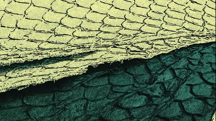 Close-up de duas camadas de couro com textura de escamas de peixe, nas cores verde-claro e verde-escuro.
