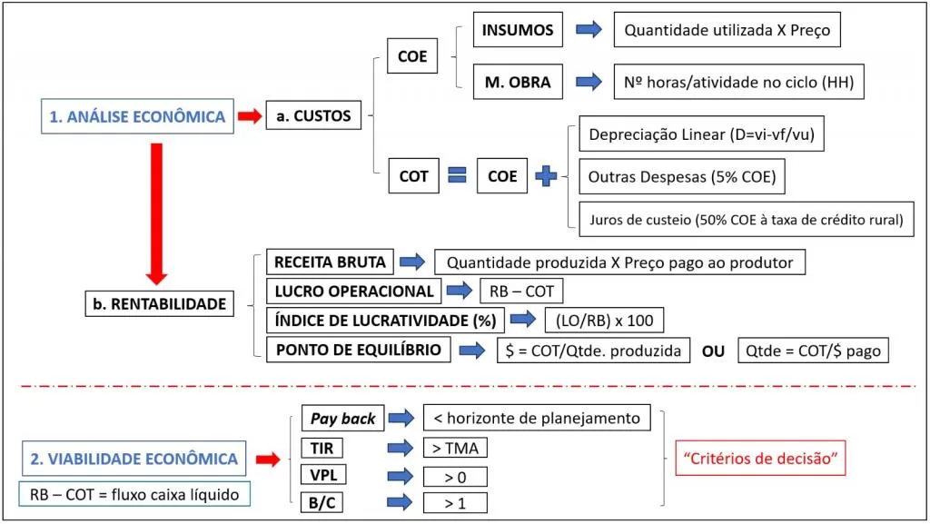 Fluxograma de protocolo econômico para piscicultura com duas etapas: análise de custos e rentabilidade (COE, COT, receita bruta, lucro operacional, índice de lucratividade, ponto de equilíbrio) e viabilidade com payback, TIR, VPL e B/C; setas e caixas explicativas em português.