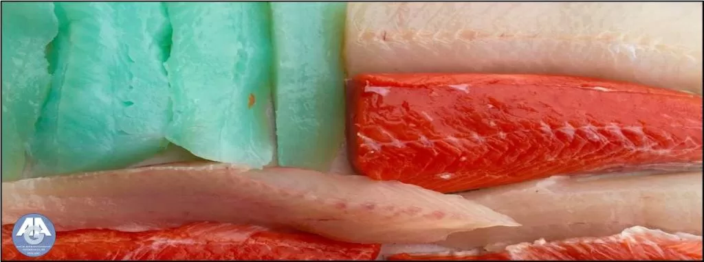 Close de filés crus com diferentes colorações—branco, vermelho e azul-esverdeado—dispostos lado a lado.