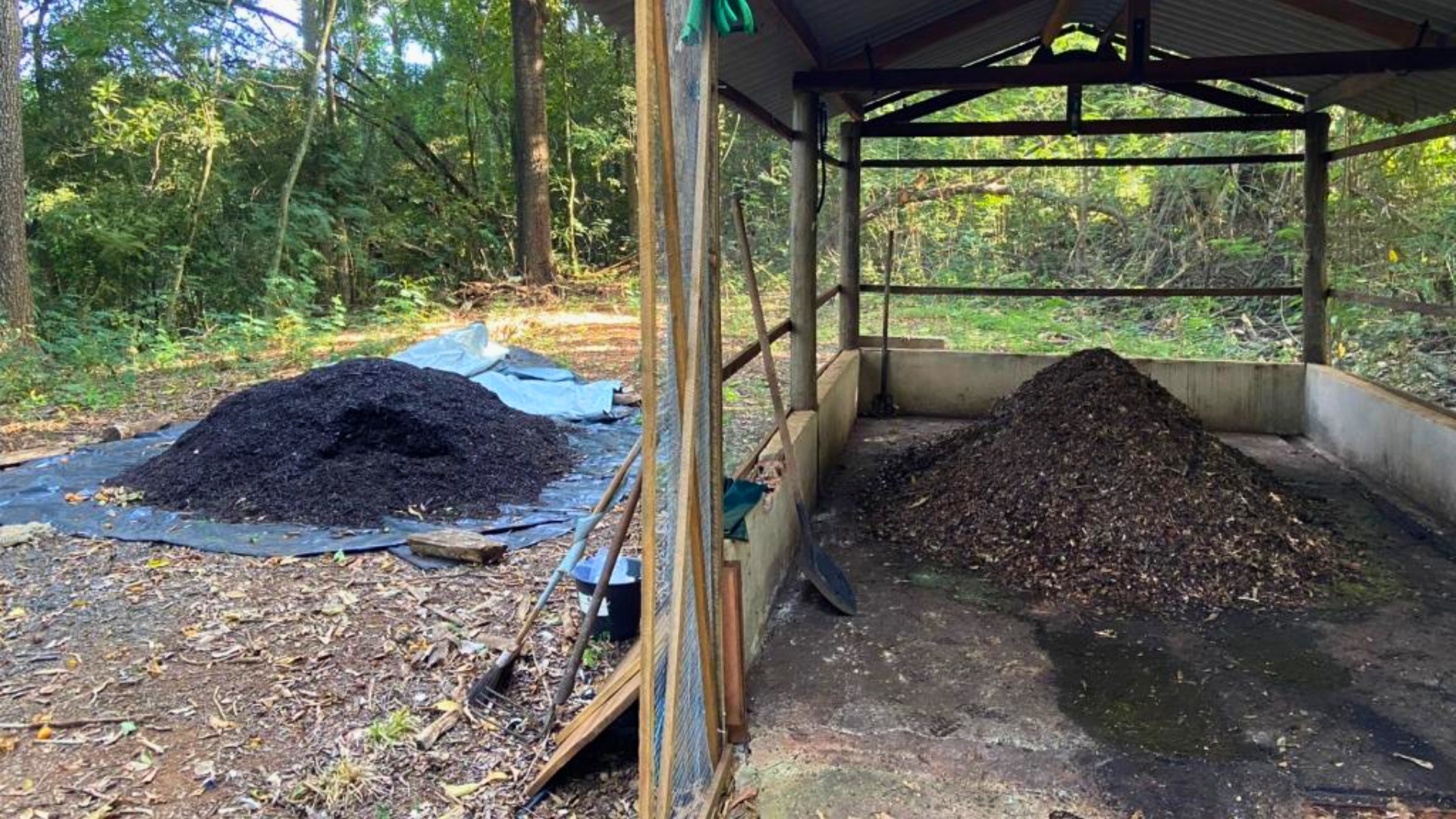 Leiras de compostagem de resíduos da aquicultura no Caunesp