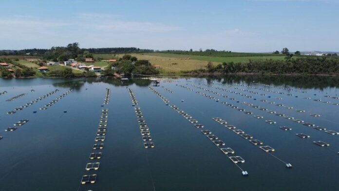 Estrutura de tanques-rede em reservatório utilizado para aquicultura no interior de São Paulo