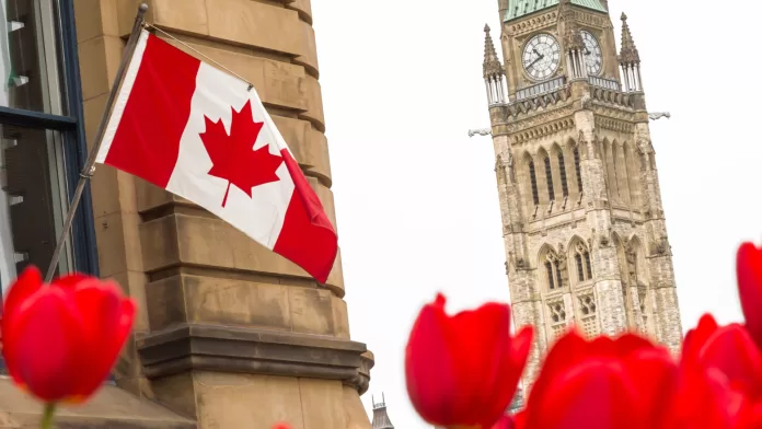 Bandeira do Canadá e Parlamento com tulipas vermelhas