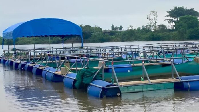 Estrutura de tanques flutuantes em sistema de aquicultura
