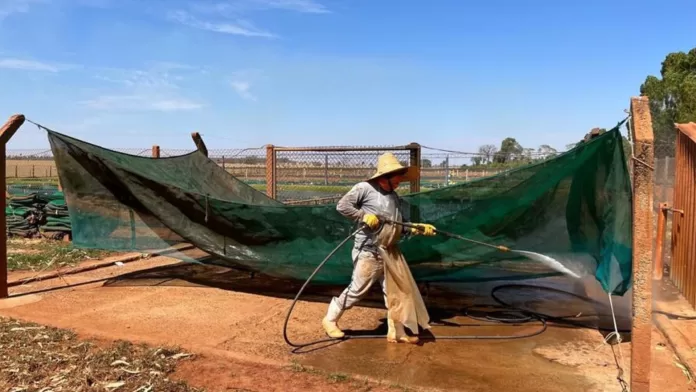 Trabalhador realiza desinfecção de estrutura utilizada na piscicultura