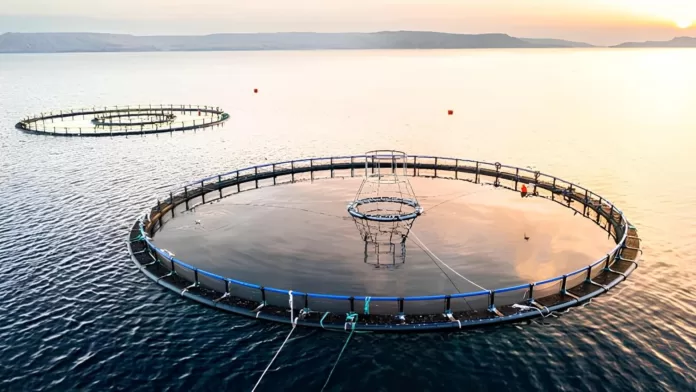 Estrutura de aquicultura em mar aberto ao pôr do sol