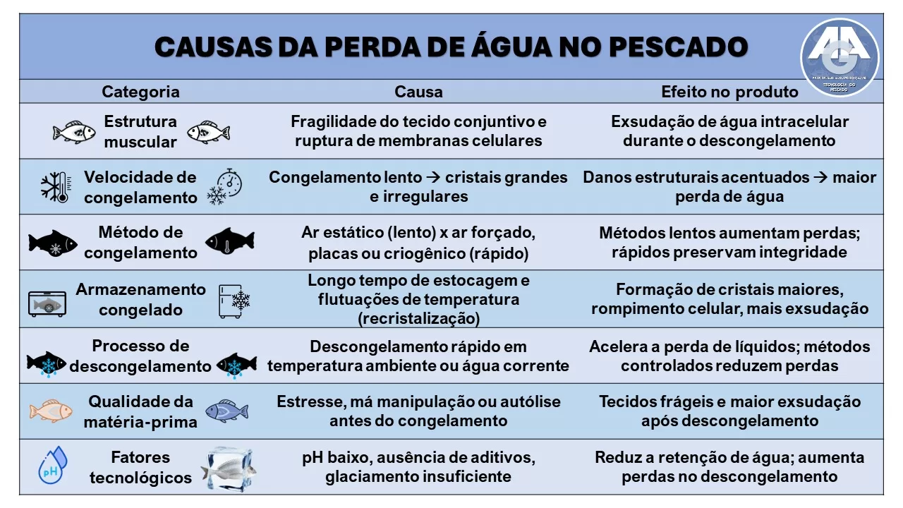 Tabela com causas da perda de água no pescado e efeitos no produto: estrutura muscular, velocidade e método de congelamento, armazenamento congelado, descongelamento, qualidade da matéria-prima e fatores tecnológicos.