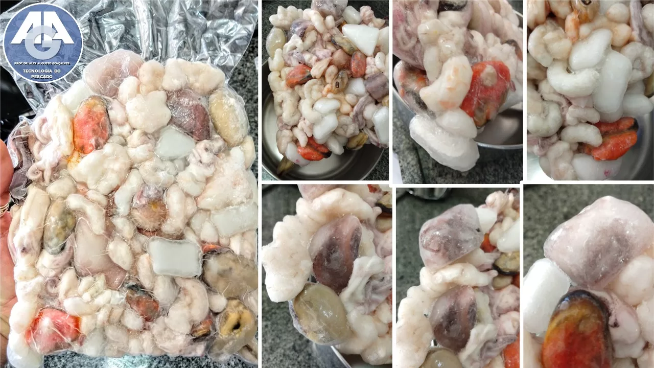 Mistura de frutos do mar com excesso de gelo solto evidenciando glaciamento elevado
