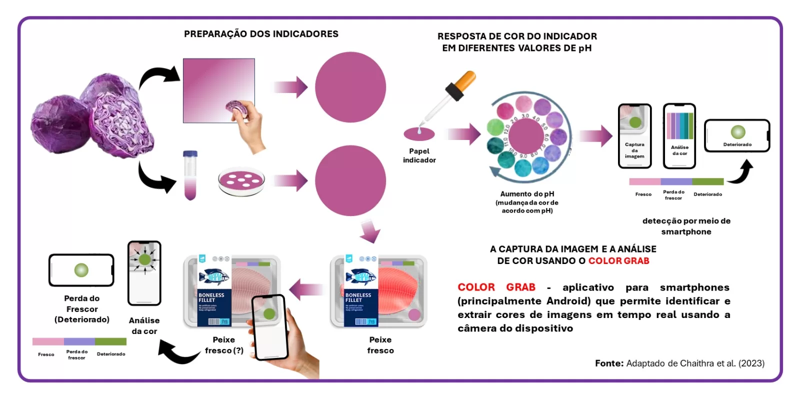 Indicador halocrômico de repolho-roxo em papel monitora o frescor do pescado por mudança de cor conforme pH; leitura via smartphone (Color Grab).