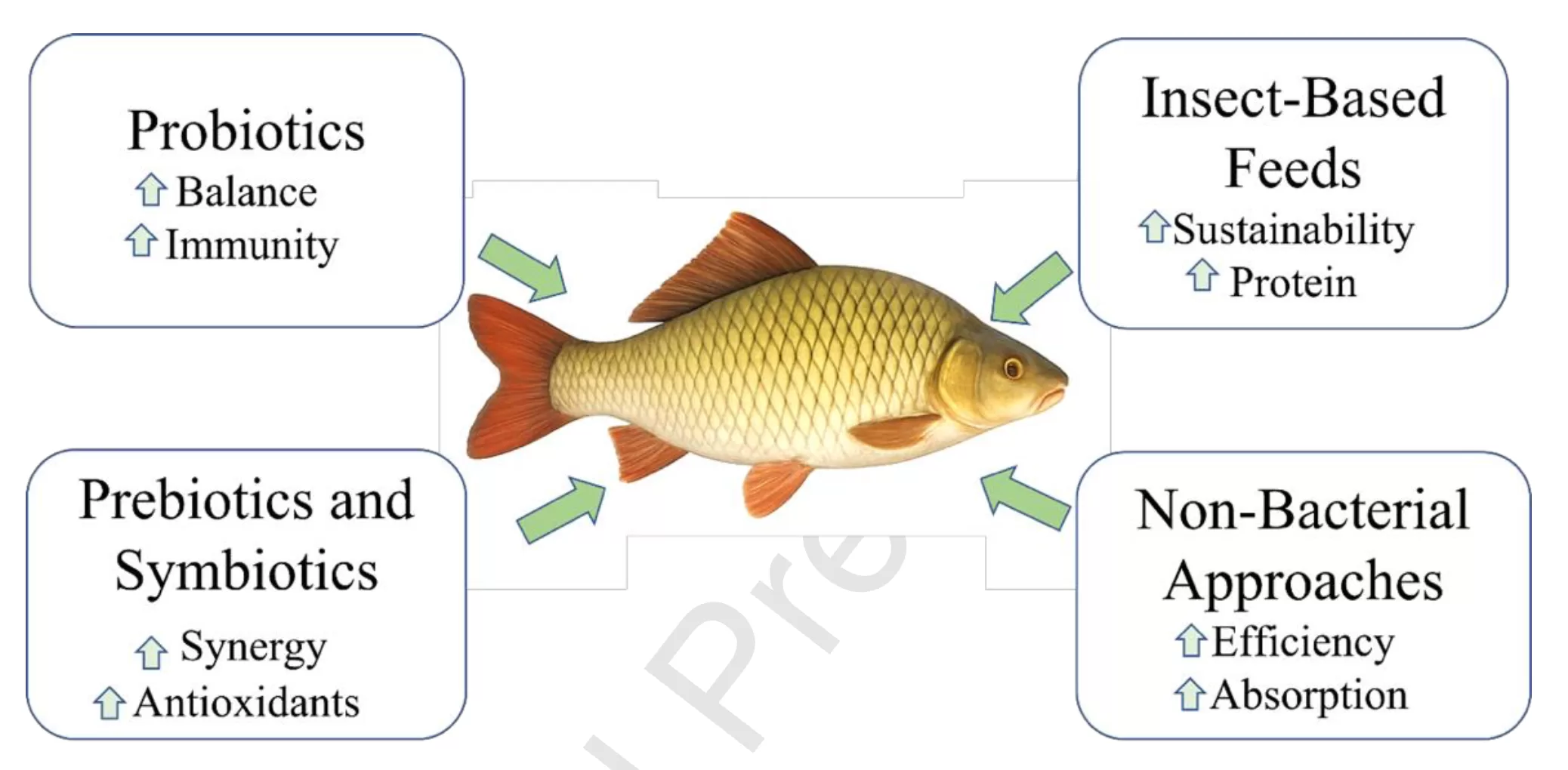 Diagrama mostrando estratégias de nutrição em peixes com probióticos, prebióticos, simbióticos, rações de insetos e abordagens não bacterianas