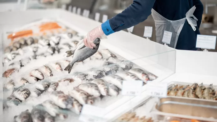 Peixaria exibe variedade de peixes