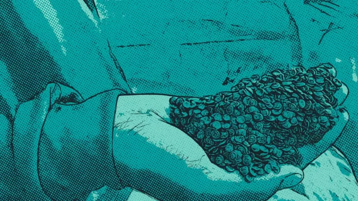 Aplicação de wafers probióticos em viveiros no Equador
