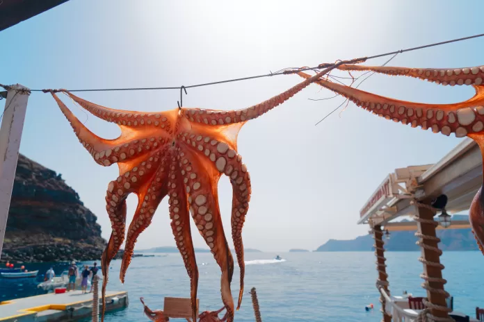 Polvo aberto e tentáculos pendurados ao sol em vila costeira, com o mar ao fundo.