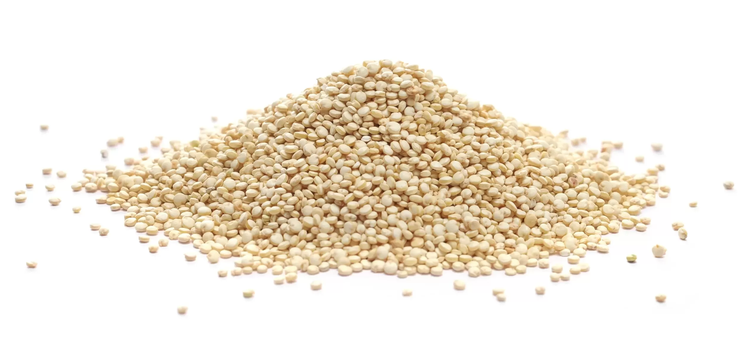 Casca de quinoa em grãos crus sobre fundo branco