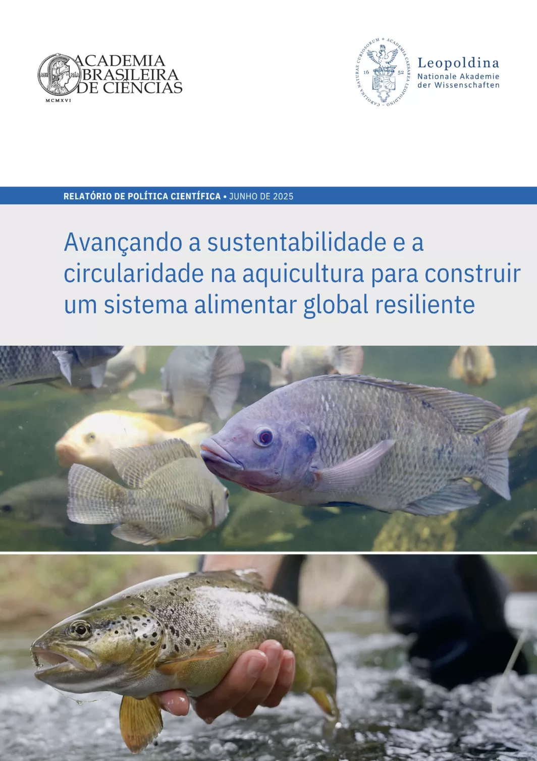 Peixes em tanque de aquicultura representando sustentabilidade e circularidade na produção aquícola