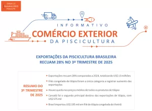 Novo boletim comércio exterior