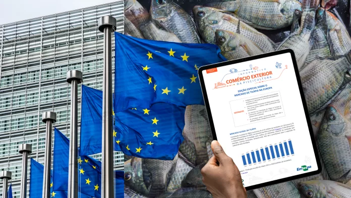 Bandeiras da União Europeia e tilápias ao fundo ilustram relatório sobre comércio exterior da piscicultura.