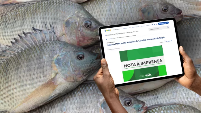 Tilápias ao fundo e mãos segurando tablet com “Nota à Imprensa” do MMA; destaque para mensagem de que a análise é preventiva.