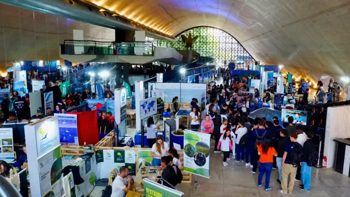 Cais do Porto da SP Ocean Week 2024 com estandes de ONGs e instituições de pesquisa, grande público sob teto abobadado.