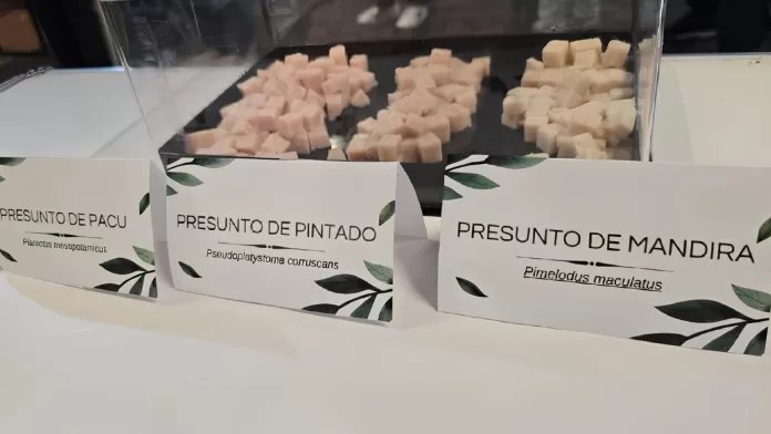 Presuntos elaborados com espécies nativas de peixe apresentados durante evento em Brasília