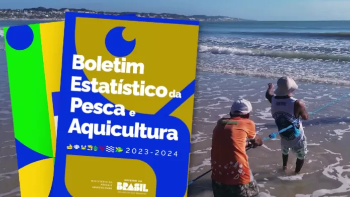 Boletim Estatístico da Pesca e Aquicultura 2023-2024 lançado pelo MPA