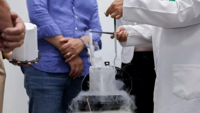 Pesquisadores manipulam material genético de peixes em laboratório da Embrapa