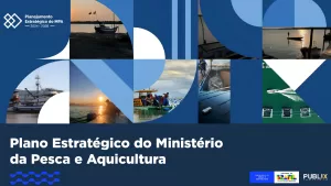 Painel visual do Plano Estratégico do Ministério da Pesca e Aquicultura 2024-2028
