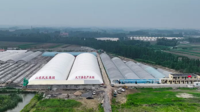 Estruturas de cúpulas de ar usadas no cultivo de camarão na China