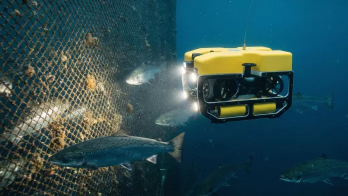 Veículo subaquático amarelo (ROV) realizando inspeção autônoma em redes de uma fazenda de peixes com salmões ao redor.