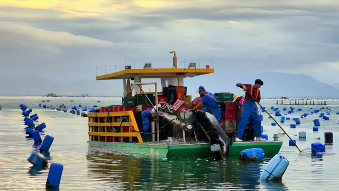 Embarcação de aquicultura durante atividade produtiva em viveiros aquáticos