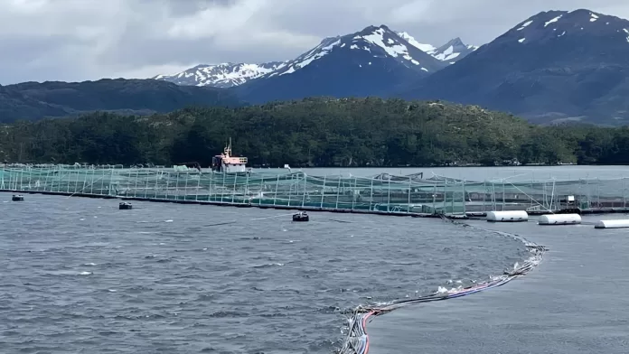 Centro de cultivo de salmão na Patagônia Chilena em ambiente marinho