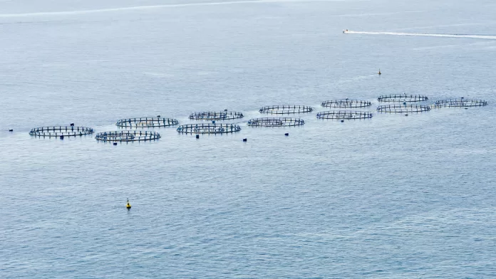 Estruturas de aquicultura em Águas da União utilizadas para produção aquícola