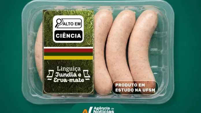 Protótipo de linguiça de peixe com erva-mate desenvolvido em pesquisa da Universidade Federal de Santa Maria
