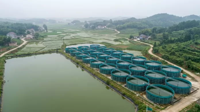 Vista aérea de sistema de aquicultura LBTAS com tanques circulares de lona verdes e lagoas de tratamento em área rural.