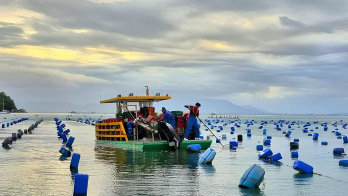 Produção aquícola em águas da União retratada em concurso do MPA