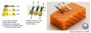 Diagrama da matriz de microagulhas MNA e aplicação do biossensor eletroquímico em filé de peixe