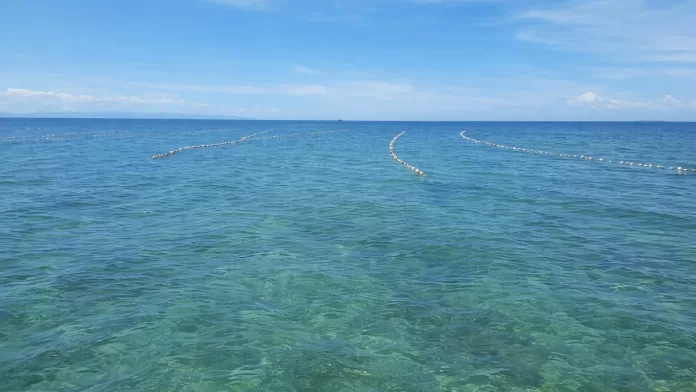 cultivo de algas marinhas em mar aberto