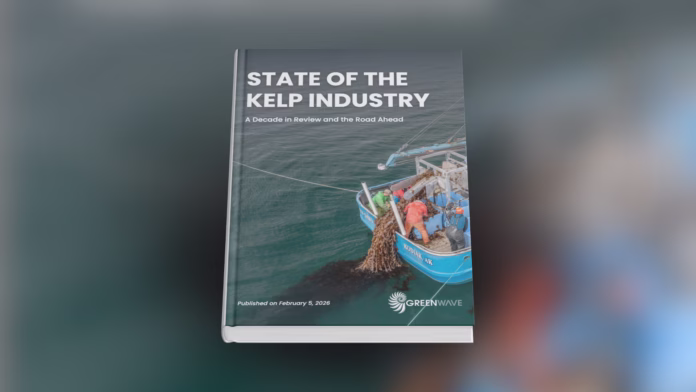 Colheita de kelp em fazenda marinha na América do Norte