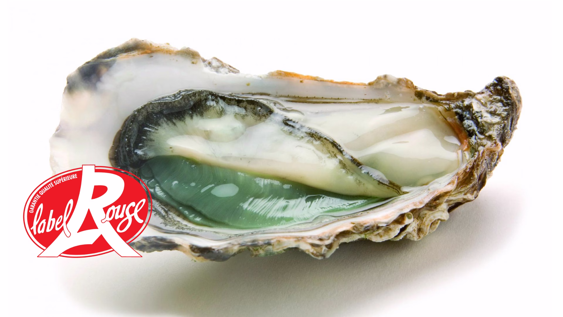 Ostra crua aberta exibindo interior com forte coloração verde, junto ao selo vermelho de certificação Label Rouge.