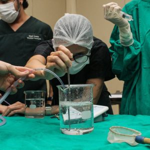 Equipe veterinária da UFRPE realiza procedimento especializado durante cirurgia em peixe ornamental