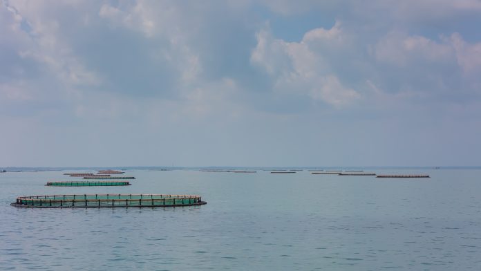 tanques de aquicultura em águas da União no Brasil