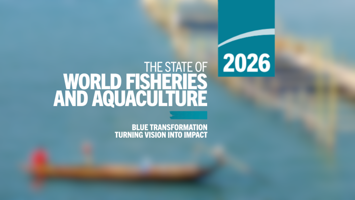 Arte com a capa do relatório SOFIA 2026 da FAO sobre o estado mundial da pesca e aquicultura, exibindo o título em destaque com uma imagem conceitual de embarcação tradicional desfocada ao fundo em tons azul-esverdeados.