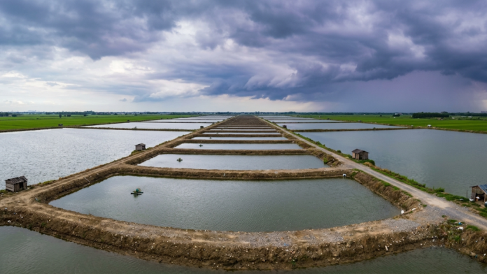Extensa fazenda de aquicultura continental com múltiplos tanques escavados sob céu nublado na China.