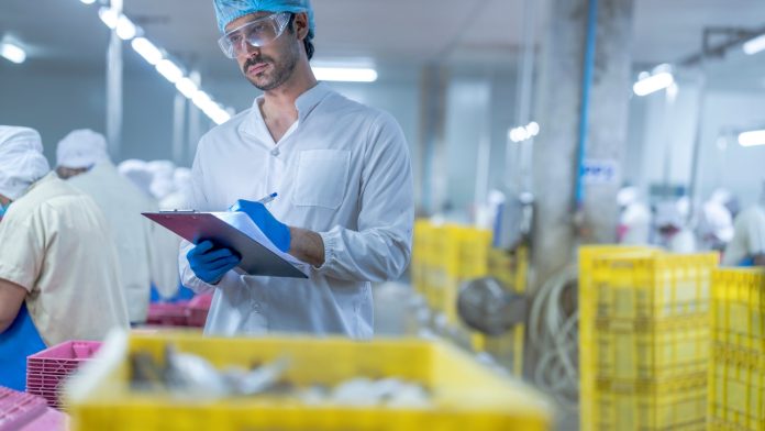 Profissional inspecionando operação em uma linha industrial de processamento de pescados com prancheta.