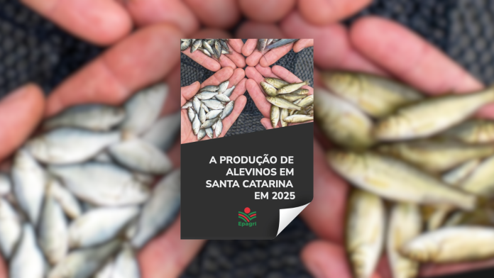 Capa do estudo da Epagri sobre a produção de alevinos em Santa Catarina, refletindo os dados estaduais para 2025.