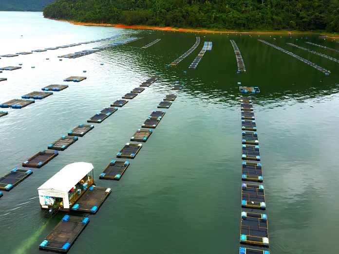 Estruturas de cultivo e manejo da produção em aquicultura continental.