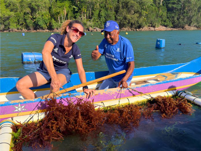Pessoas em embarcação a manusear estruturas de cultivo e colheita de algas marinhas no mar.