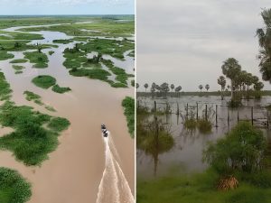 Vista de rio com vegetação marginal no bioma Pantanal.